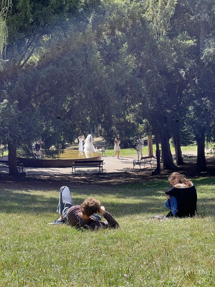 Strangers Snapped These Pictures And They’re Basically Mini Masterpieces