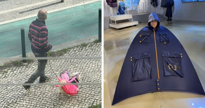 These 40 Totally Bizarre Photos Will Make Your Brain Go Huh?