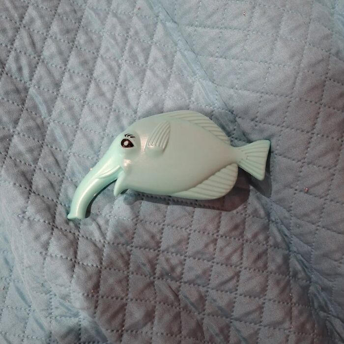 These 40 Totally Bizarre Photos Will Make Your Brain Go Huh?
