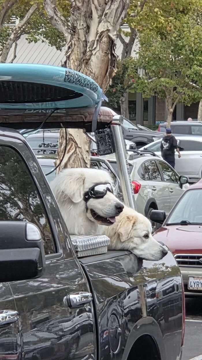 These 40 Totally Bizarre Photos Will Make Your Brain Go Huh?