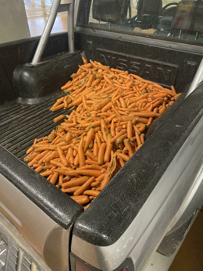 These 40 Totally Bizarre Photos Will Make Your Brain Go Huh?