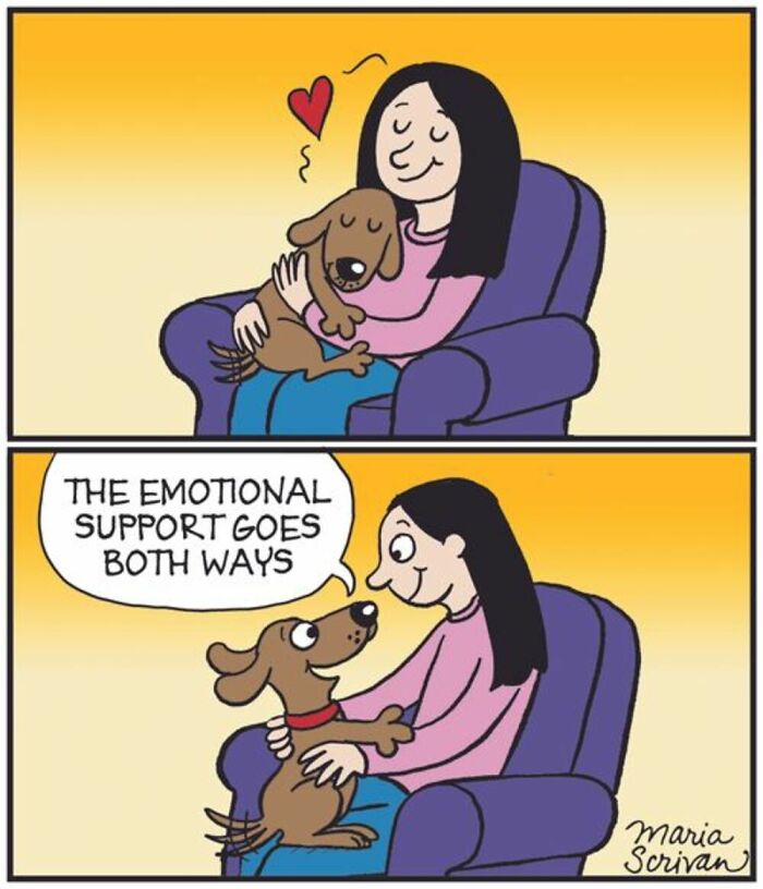 Wait Till You See These 42 Dog Comics That Nail Every Pup Quirk