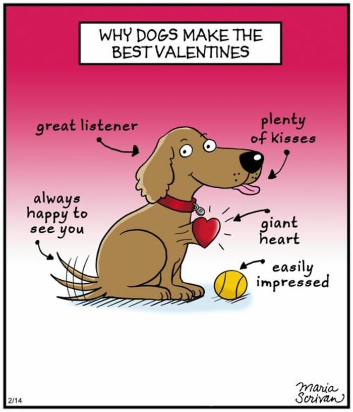 Wait Till You See These 42 Dog Comics That Nail Every Pup Quirk