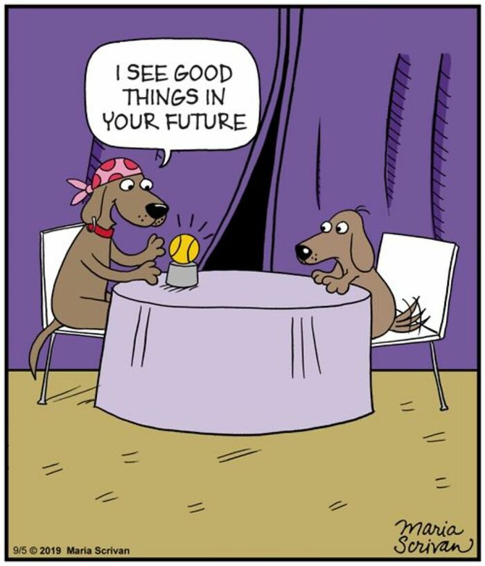 Wait Till You See These 42 Dog Comics That Nail Every Pup Quirk