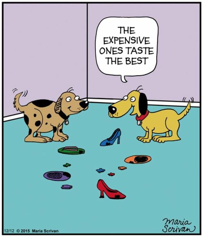 Wait Till You See These 42 Dog Comics That Nail Every Pup Quirk