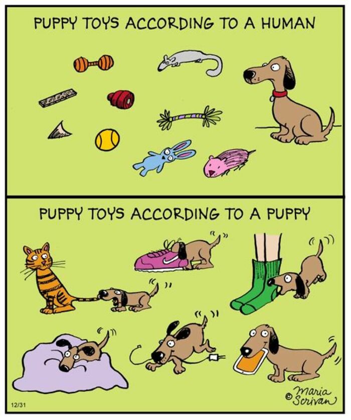 Wait Till You See These 42 Dog Comics That Nail Every Pup Quirk