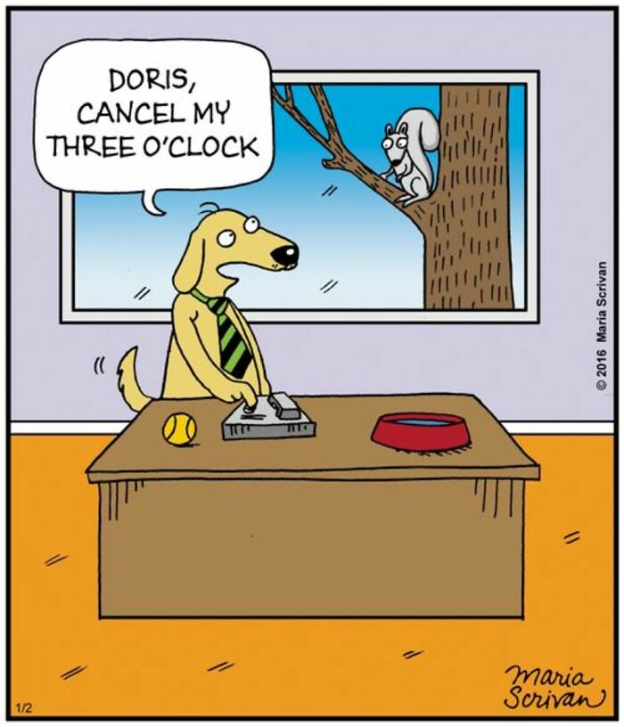 Wait Till You See These 42 Dog Comics That Nail Every Pup Quirk