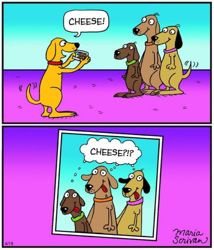 Wait Till You See These 42 Dog Comics That Nail Every Pup Quirk