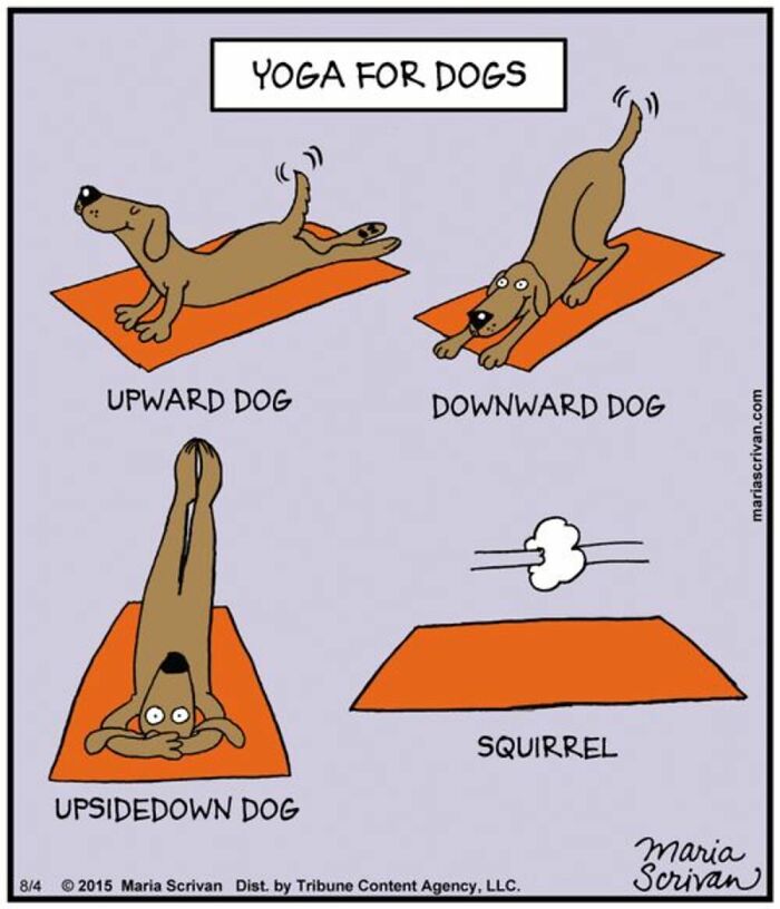 Wait Till You See These 42 Dog Comics That Nail Every Pup Quirk