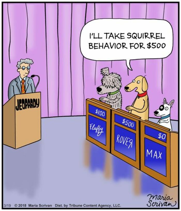 Wait Till You See These 42 Dog Comics That Nail Every Pup Quirk
