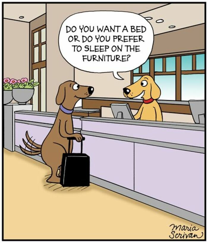 Wait Till You See These 42 Dog Comics That Nail Every Pup Quirk