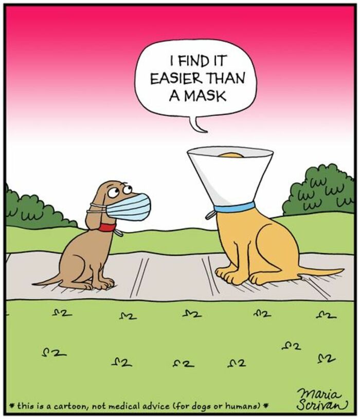 Wait Till You See These 42 Dog Comics That Nail Every Pup Quirk