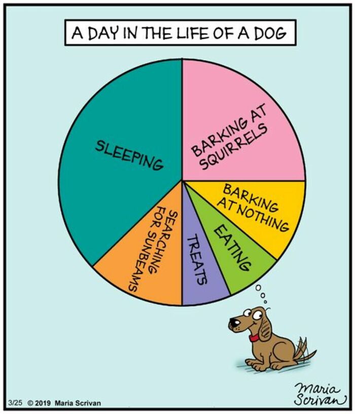 Wait Till You See These 42 Dog Comics That Nail Every Pup Quirk
