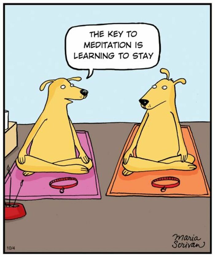 Wait Till You See These 42 Dog Comics That Nail Every Pup Quirk