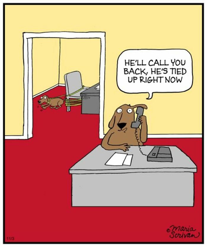 Wait Till You See These 42 Dog Comics That Nail Every Pup Quirk
