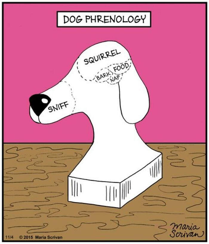 Wait Till You See These 42 Dog Comics That Nail Every Pup Quirk