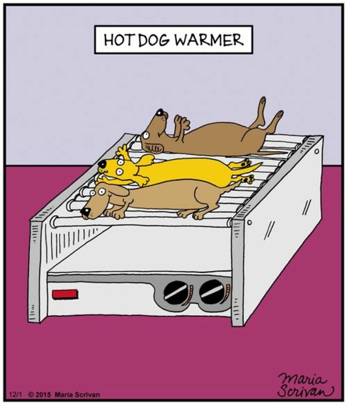 Wait Till You See These 42 Dog Comics That Nail Every Pup Quirk