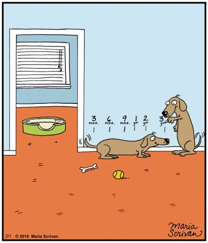 Wait Till You See These 42 Dog Comics That Nail Every Pup Quirk