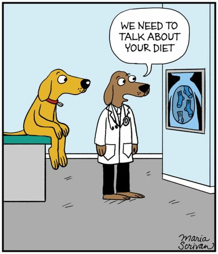 Wait Till You See These 42 Dog Comics That Nail Every Pup Quirk