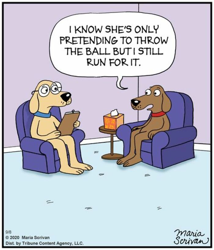 Wait Till You See These 42 Dog Comics That Nail Every Pup Quirk
