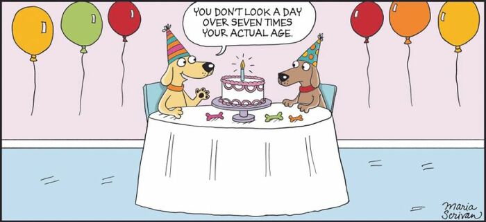 Wait Till You See These 42 Dog Comics That Nail Every Pup Quirk