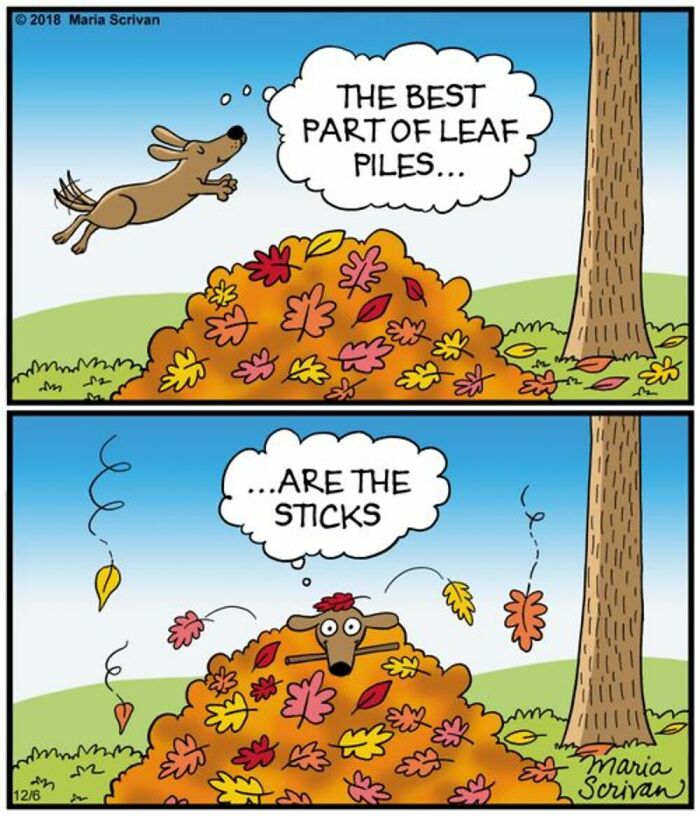 Wait Till You See These 42 Dog Comics That Nail Every Pup Quirk