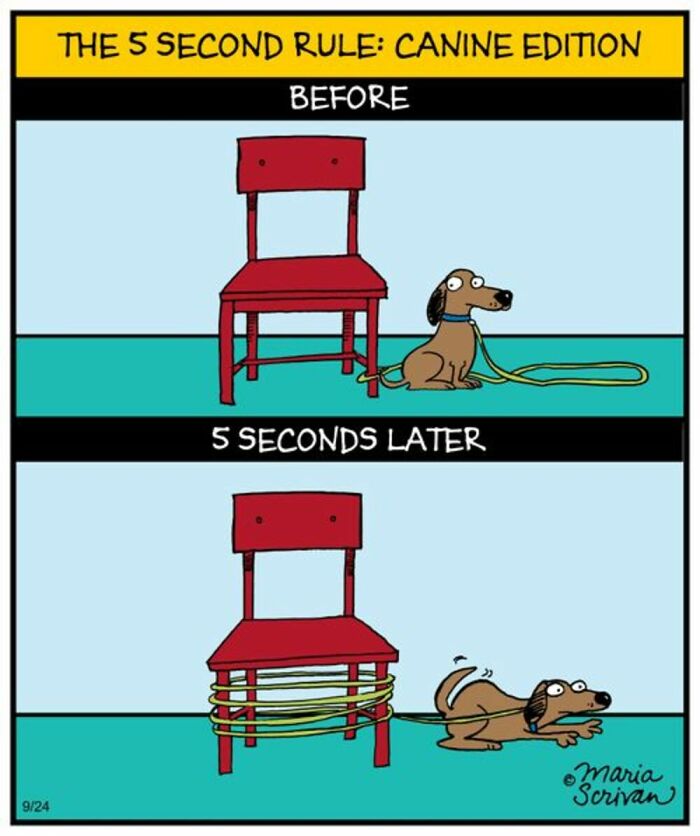 Wait Till You See These 42 Dog Comics That Nail Every Pup Quirk