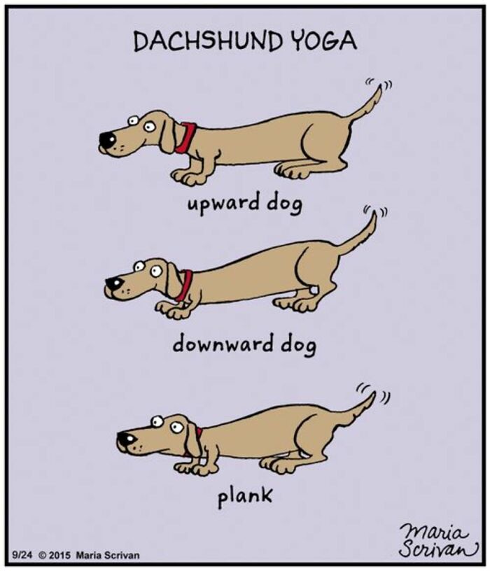 Wait Till You See These 42 Dog Comics That Nail Every Pup Quirk