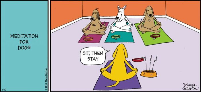 Wait Till You See These 42 Dog Comics That Nail Every Pup Quirk
