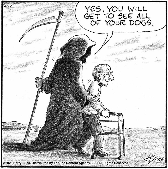 40 One-Panel Comics By Harry Bliss That Nail Everyday Weirdness