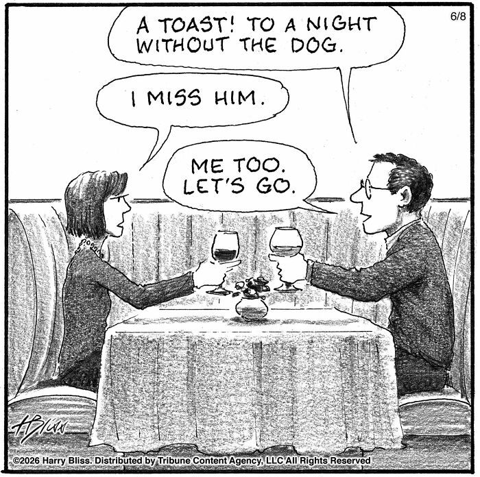 40 One-Panel Comics By Harry Bliss That Nail Everyday Weirdness
