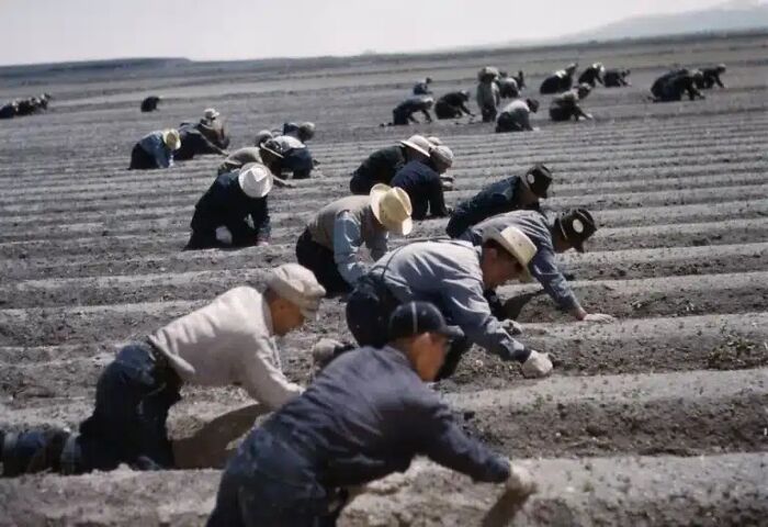 Wait, They Actually Took Photos Like This?! 91 History Pics That Will Totally Blow Your Mind