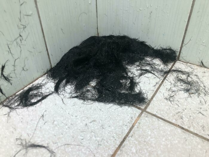 Roommate’s Hair Buzz Gone Wild: The Bathroom Aftermath