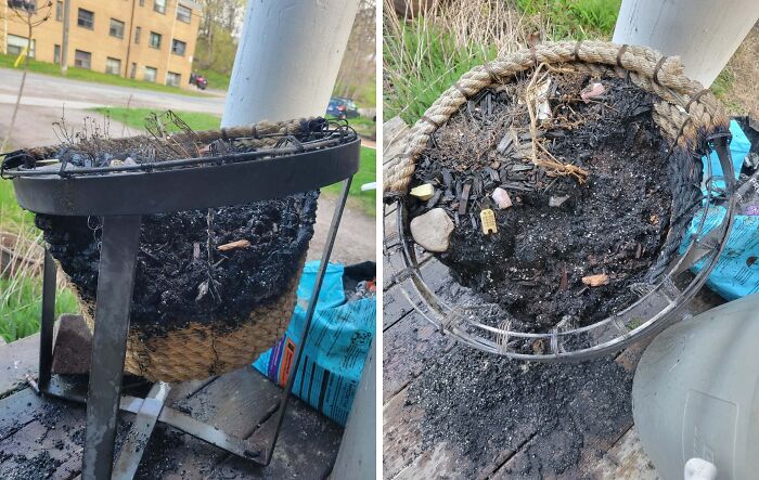 Planter On Fire (Because Who Needs Common Sense?)
