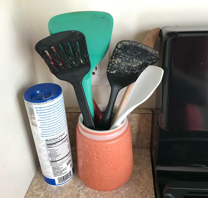 Spatula Horror Story: When Your Roommate Thinks Filthy Is Fine