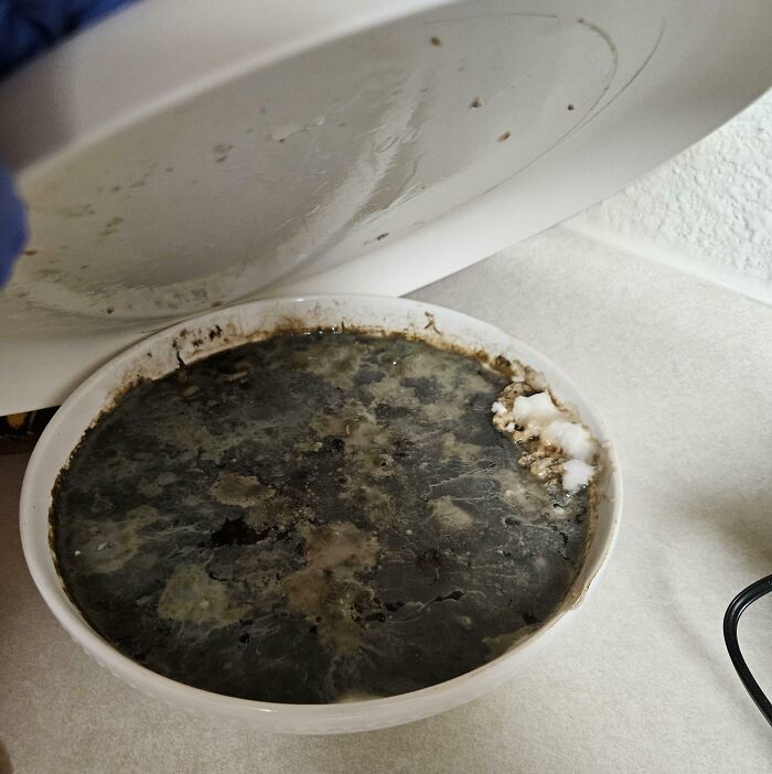 Mystery Smell Solved: The Black Bean Science Project
