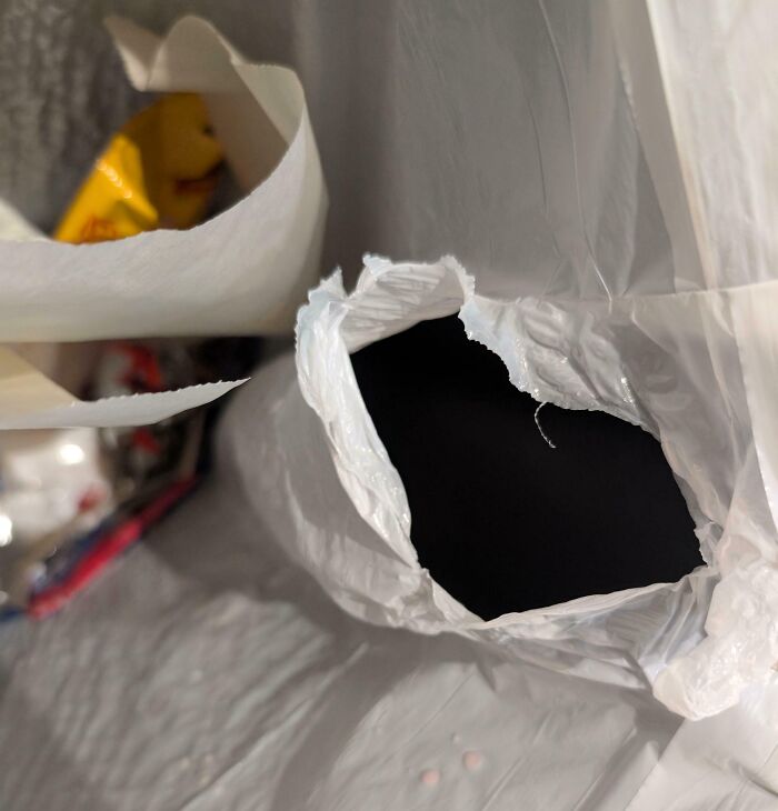 Why Rip Garbage Bags To 'Let The Air Out'? Roommate Logic 101