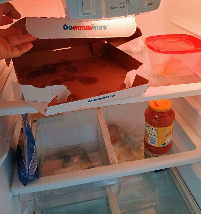 Empty Boxes: Roommate’s Fridge Decoration?