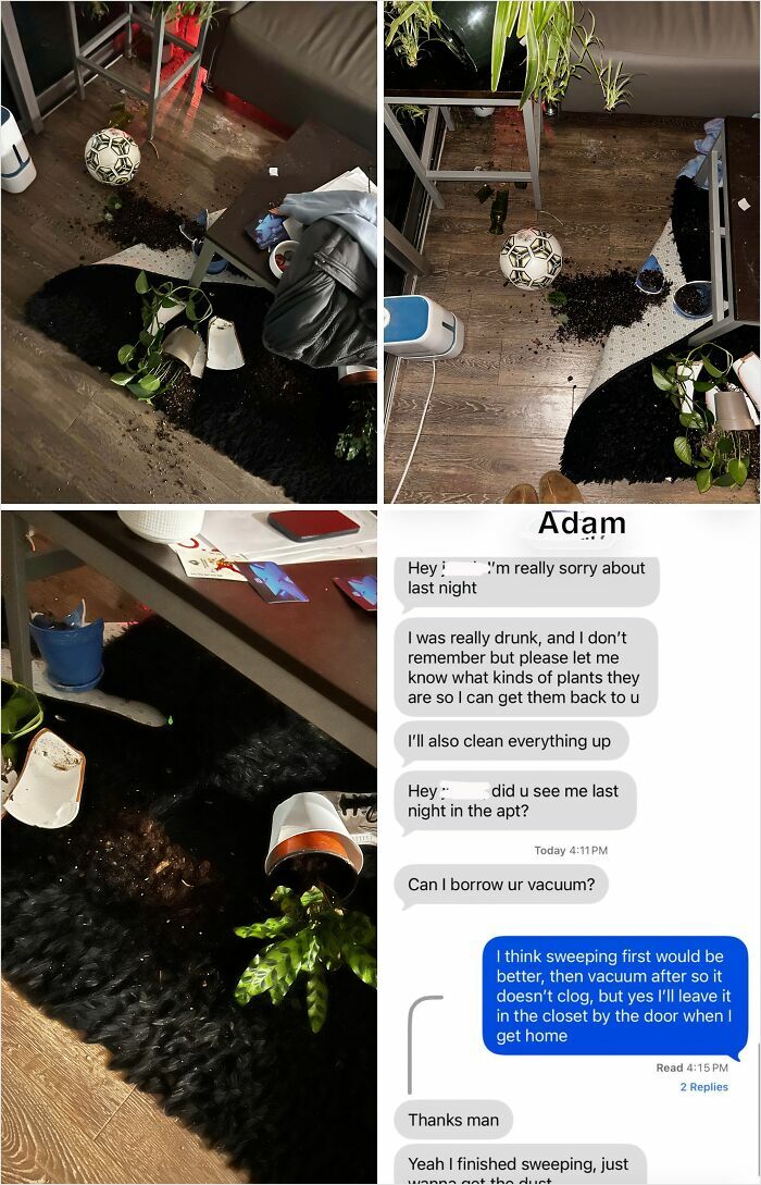 Drunky Roommate Vs. My Precious Plants: The Aftermath