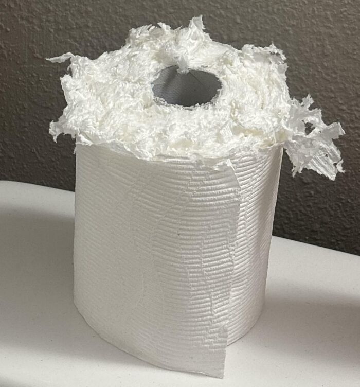 Roommate Mistakes Paper Towels For Toilet Paper—Here’s His Creative Fix