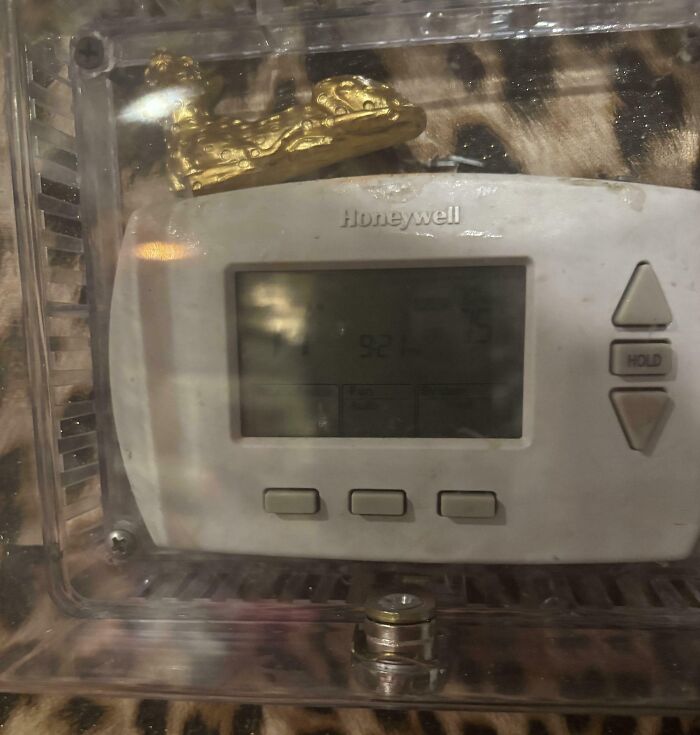 The Thermostat Has Been Locked! Welcome To Sweating Every Night Club