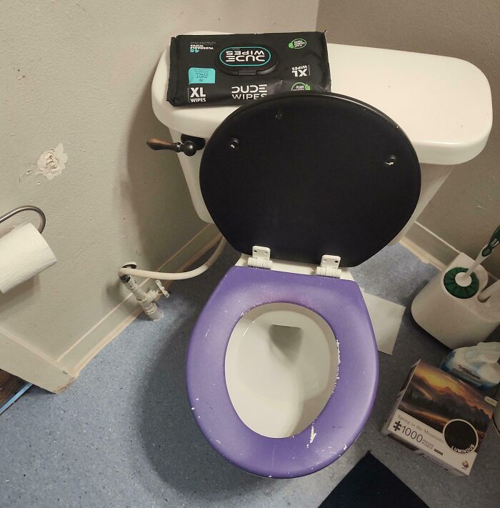 Roommate’s Masterpiece: Spray-Painted Toilet Seat