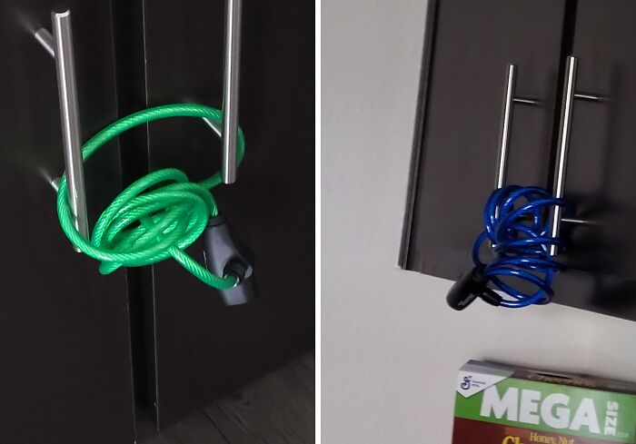 50-Year-Old Roommate Drama in Student Housing
