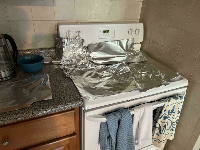Cat’s Safe Zone: The Stove Gets a Daily Cleaning Because of Paranoia