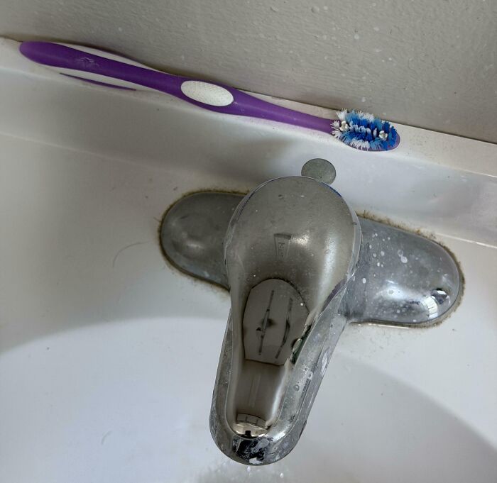 Roommate's Favorite Toothbrush Spot
