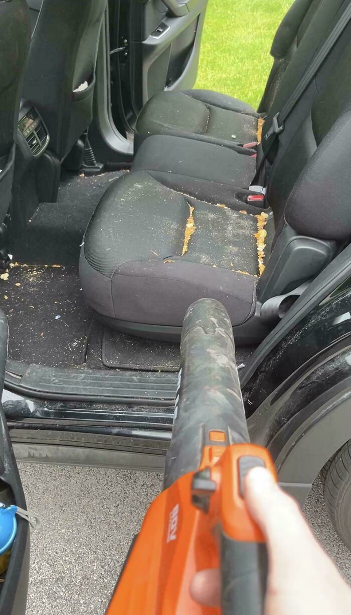 Leaf Blower Dad? Yep, That’s a Thing.