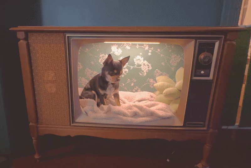 Upcycling Wonders: 85 Brilliant Things People Made From Stuff They Had Lying Around