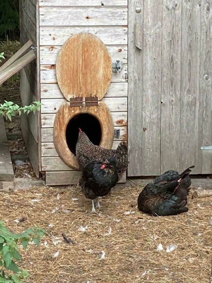 Upcycling Wonders: 85 Brilliant Things People Made From Stuff They Had Lying Around