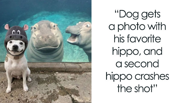 Wait, They Actually Ranked THAT? 111 Wholesome Stories That’ll Melt Your Brain