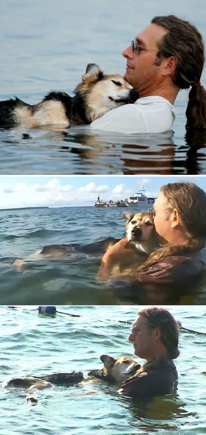 Man Holds Dog In Water So Arthritis Pain Stops At Last